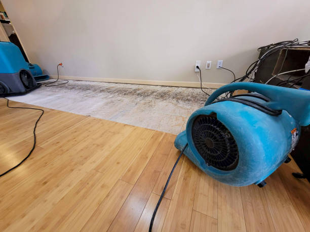 Professional Water Damage Repair technician working in Skykomish, WA